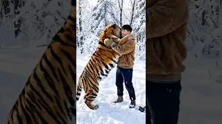 How did one friend protect his tiger friend from ice?🥶😲😳#shorts #tiger #friendship #mtofficial100