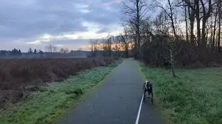 Dog  Walk at Daybreak | Quiet Morning at Champoeg State Park