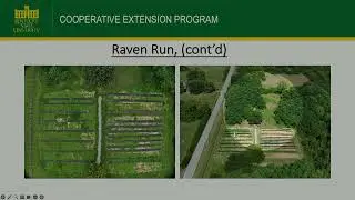 Agroforestry and KSU's Alley Crop