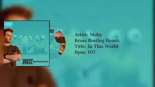 Moby - In This World (Bross Bootleg Remix)