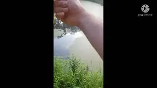 Fishing in Newark Delaware