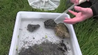 Looking after our rivers - the River Chess