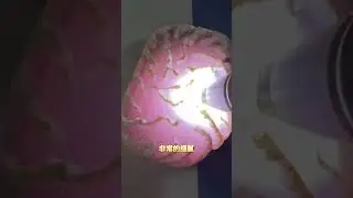 天然翡翠原石的原始本質 | Primitive Essence of Natural Jadeite Rough