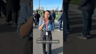 Microsoft employees or Microswifties? #Microsoft50
