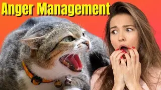 Why Your Feline Friend Is Aggressive (Cat Behavior Secrets)