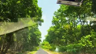 Pilibhit tiger reserve | chuka beach |mala ka jungle