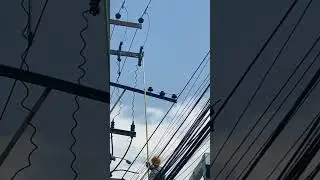 Accidentes y fallas en Electricidad 😨😰😨 #electrician #electricidad