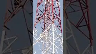 Tower maintenance #shorts #tower