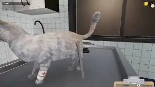Animal shelter idag tog vi hand om sjuka djur 