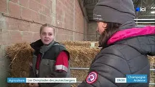 Les Ovinpiades au lycée agricole de Rethel : quand la passion ovin devient vocation