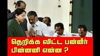 OPS  vs SASIKALA  | TOP 5 REASONS BEHIND OPS REVOLT  | KICHDY