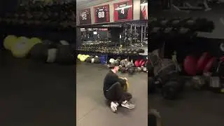 Plate Circuit