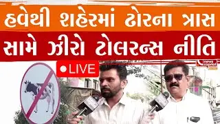 Live : હવેથી શહેરમાં ઢોરના ત્રાસ સામે ઝીરો ટોલરન્સ નીતિ