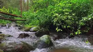 Healing River Sounds &ndash; 10 Hours of Calming ASMR for Focus & Mind Relief
