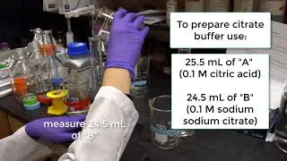Episode 6: Making Stains to Observe Plant Cells