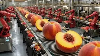 Inside DEL MONTE&rsquo;s Massive PEACH Canning Factory || Full Process