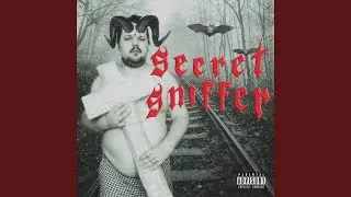 Secret Sniffer