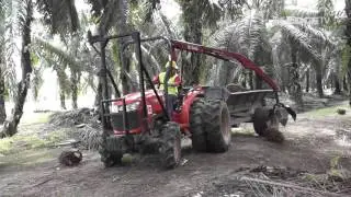 SIME DARBY PLANTATION FORESEES CPO PRICES HIT US$700 PER TONNE