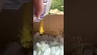 Ice dyeing shoe #art #diy