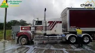 Chiefs Platinum Wash