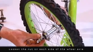 Berg Shoot 16 Assembly Guide final