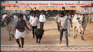 2024-New Category-Mellacheruvu-1st Place-PSK&PSC Bulls, Maddirala Muppala(v),Praksam Zilla-5552.06