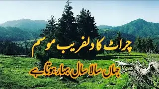 Cherat Beautiful hill station | The beauty of Cherat | Zipline in Cherat