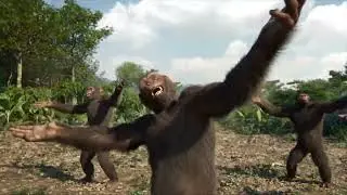 2Shaddy - Tic Tac Toe (Dancing Monkeys Video)