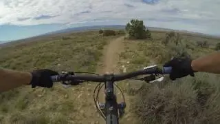 Zippity Doo Dah Fruita Colorado