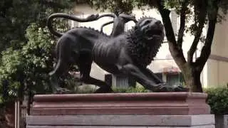 Arezzo Grazie Mille - Versione breve