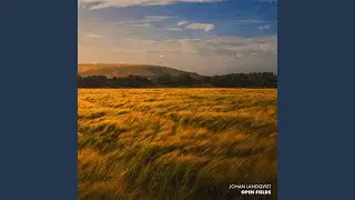 Open Fields