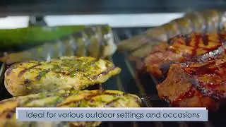 Mobile Barbecue Grill