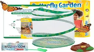 Insect Lore Raise and Release Butterfly Garden Kit &ndash; Caterpillar Habitat Review