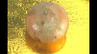 Adding Aromatic Vegetables to a Country Chicken Stew