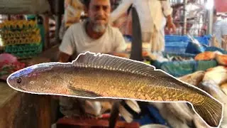 Incredible Snakehead Sola Fish Cutting Skills By Crazy Cutter | Bangladesh Fish Market #fishcutting