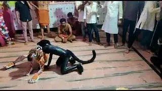 khrida bidhanpally tiger dance last day sholapuri mata puja kharagpur 2022 🦁