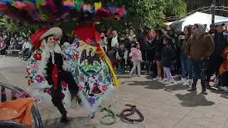 Camada Primera 2025 Culebra 24 - Carnaval de Tepeyanco 