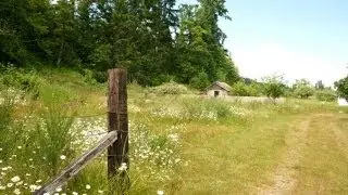 Homes for sale - 10520 Shermer Lane SE, Olympia, WA 98513