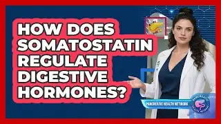 How Does Somatostatin Regulate Digestive Hormones?