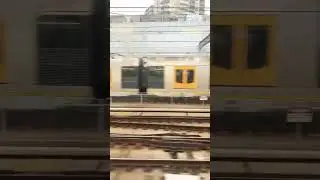 new oscar livery #train #sydneytrains @sydneytrainsvlogs @TsetsTransport-kh6dg