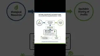 🌿 National Biodiversity Authority (NBA): Safeguarding India&rsquo;s Biological Wealth
