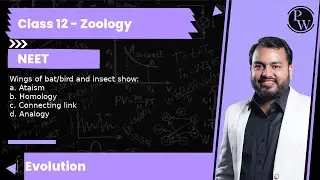 Wings of bat/bird and insect show: a. Atạism b. Homology c. Connecting link d. Analogy