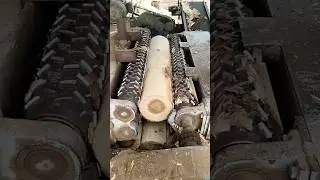 Smooth peeling machine working process #process