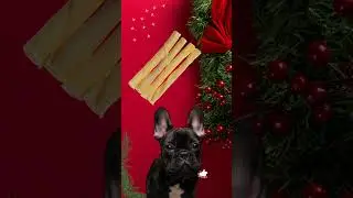 Collagen-based dog Chews from Tasman Pet make great Christmas Gifts