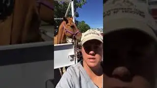 Video tip of the day - sand colic