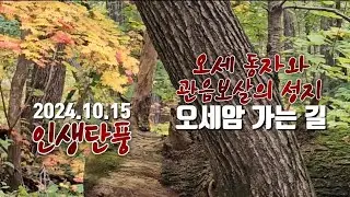 [인생단풍] 설악산 오세암_ 관음성지_ #단풍 #등산 #설악산 #설악산단풍 #오세암 #여행 #내설악