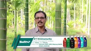 Customer Success Story- M T Krishnamurthy for Areca - Kannada PJ degalmadi netsurf organic8105068841