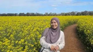 Main di Hamparan Bunga Canola di Australia 🇦🇺 