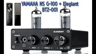 Колонки Yamaha NS G100 + Усилитель ELEGIANT BTZ 001