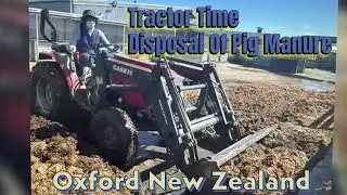 Disposal Of A Solid Waste Of Pig Manure From Inside The Farm To Outside Dumping Area.